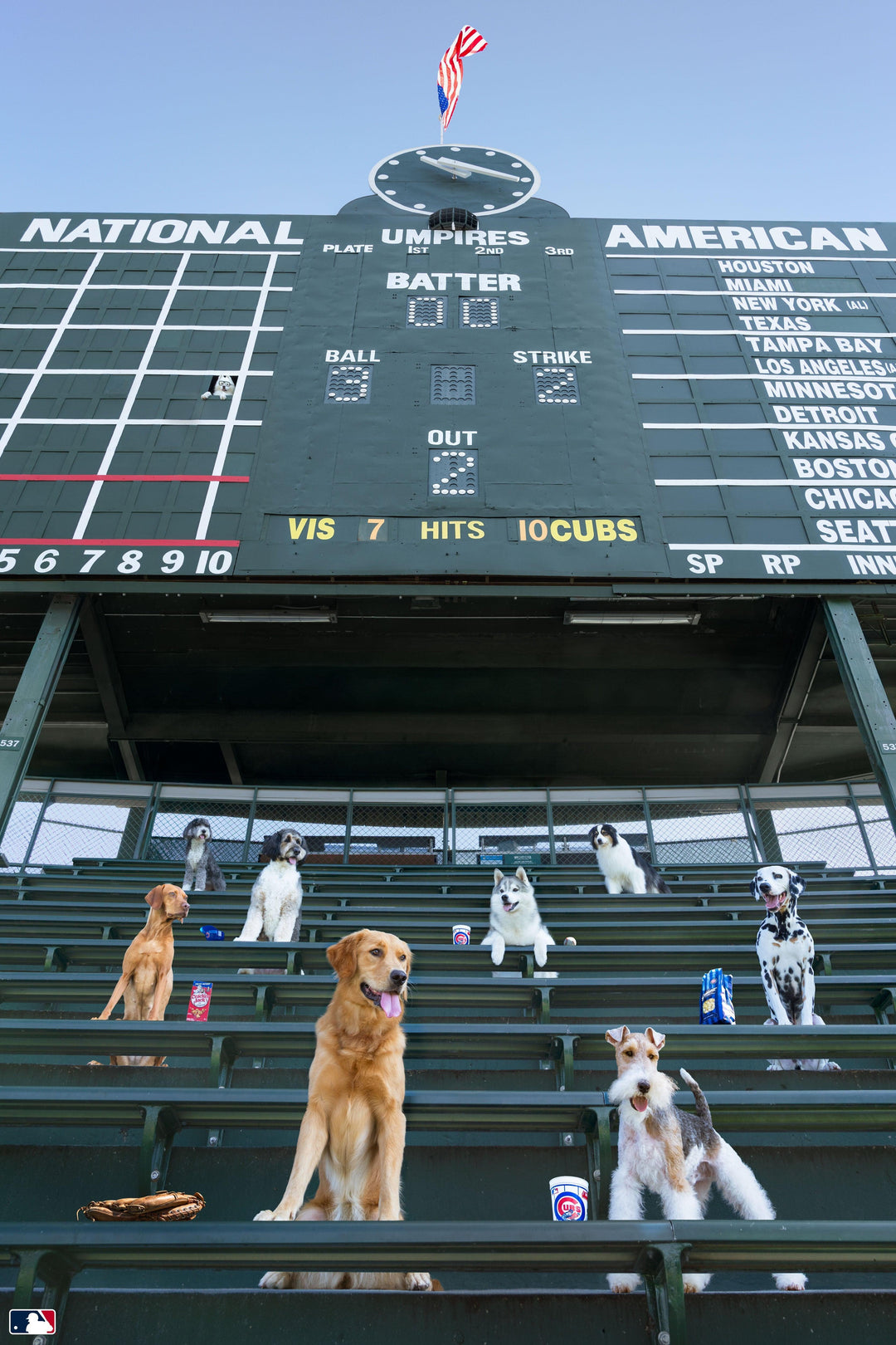 Bleacher Bums, Wrigley Field™, Chicago Photography Gray Malin