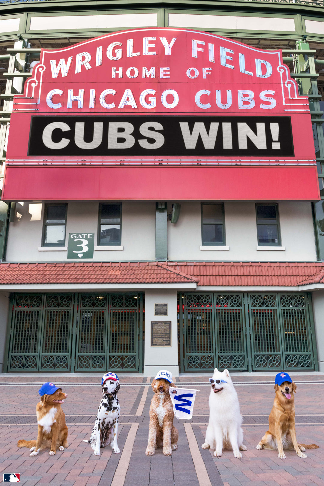 Cubs Win, Wrigley Field™, Chicago Photography Gray Malin