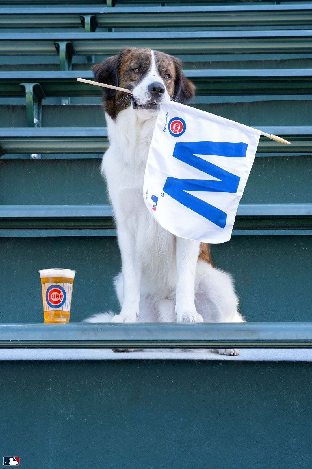 Fly the W, Wrigley Field™, Chicago Photography Gray Malin