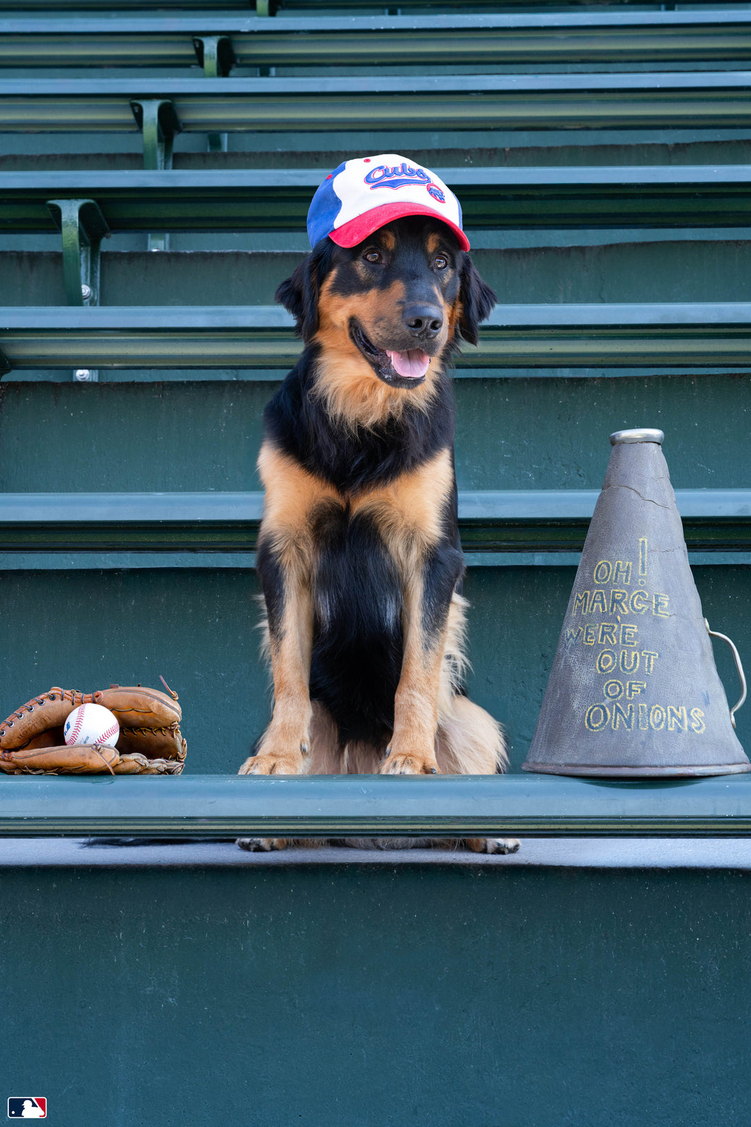Loyal Fan, Wrigley Field™, Chicago Photography Gray Malin