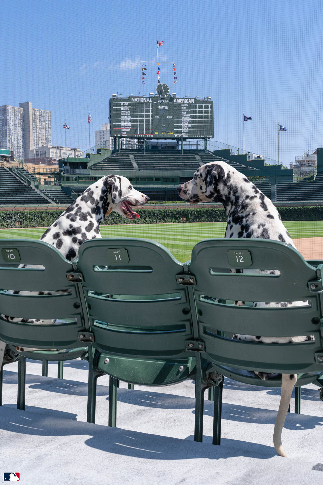 Spotted in the Stands, Wrigley Field™, Chicago Photography Gray Malin