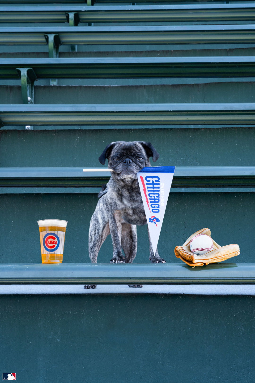 Superfan, Wrigley Field™, Chicago Photography Gray Malin
