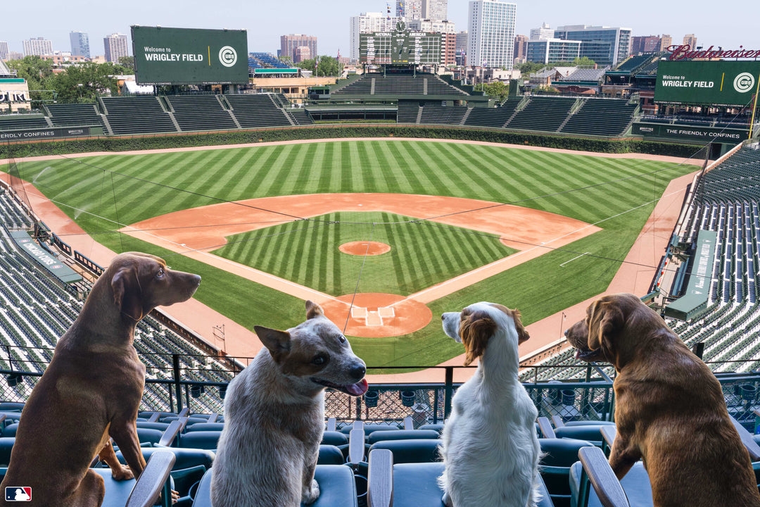 Take Me Out to the Ballgame, Wrigley Field™, Chicago Photography Gray Malin