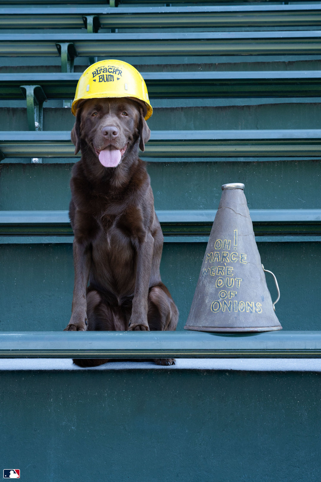 The Bleacher Bum, Wrigley Field™, Chicago Photography Gray Malin